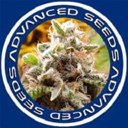 Advanced-Seeds-Logo