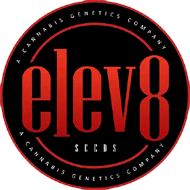 elev8-seeds-semenakonopi-cz