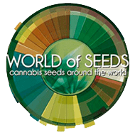 world-of-seeds-semenakonopi-cz