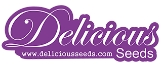 delicious-seeds