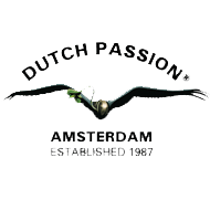 dutch-passion-semenaknopi-cz