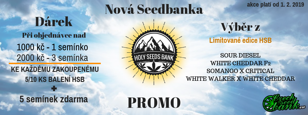 holyseedbank