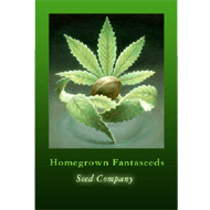 homegrown-fantaseeds-semenaknopi-cz