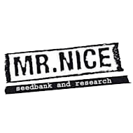 mr-nice-seeds-semenaknopi-cz