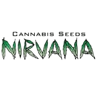 nirvana-cannabis-seeds-semenaknopi-cz