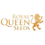 royal-queen-seeds-semenaknopi-cz