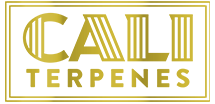 xcaliterpenes-logo-1550511565.jpg.pagespeed.ic.dWK-2Y3eHK