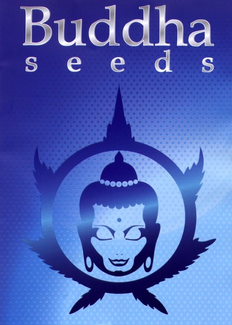 Buddha-seeds-growmart