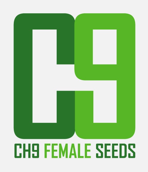 ch9_logo_green