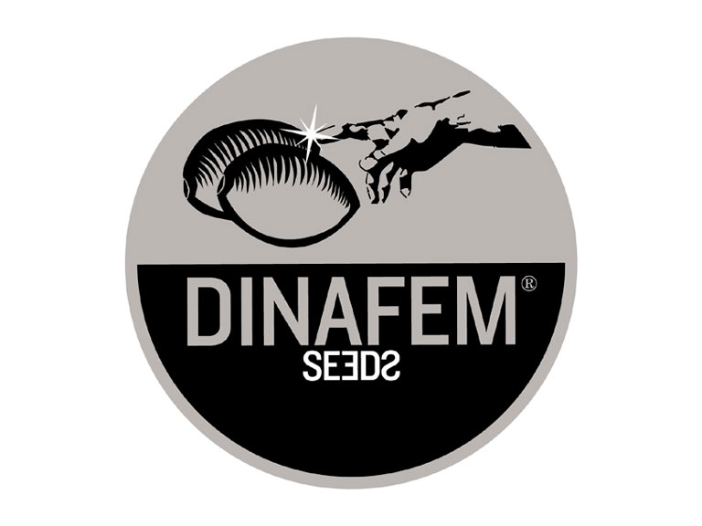 dinafem